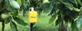 FieldGuard Stations for Growers - Outdoor