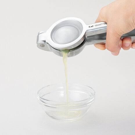 Hand Press for Sap and Juice
