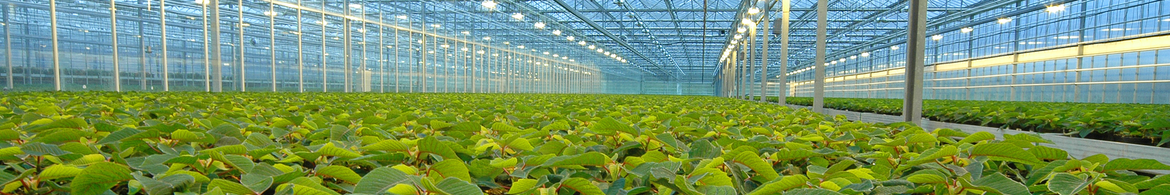 FieldGuard-Stations-for-Growers-Glass-House-and-Tunnels